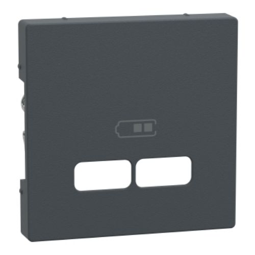 Picture of Keskplaat 2-sele USB pesale, antratsiit, System-M, MERTEN 
