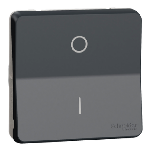 Picture of Lüliti 2P 10A 250V, grafiit, süv. IP55, Mureva 