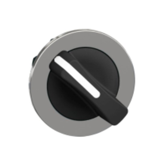Picture of FLUSH SW BK 2POS STAY PUT, Schneider 