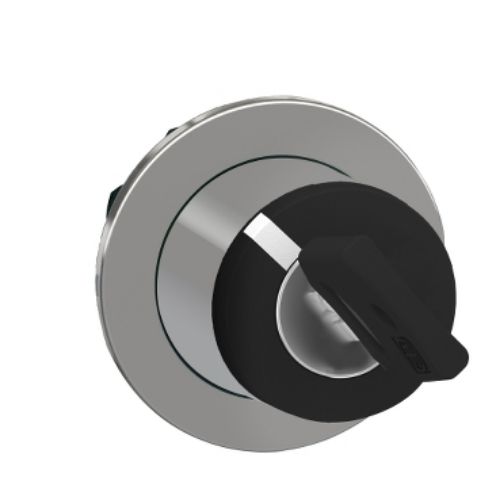 Picture of FLUSH SW HEAD KEY455 2POS STAY PUT, Schneider 