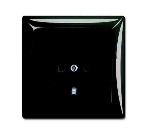 Picture of Pistikupesa 1-ne, maand-ga. kaanega, raamiga, chateau-black, süv. IP44, Basic55 