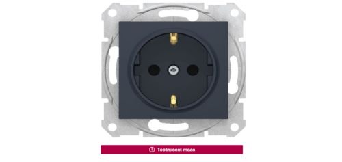 Picture of Pistikupesa 1-ne, m-ga, lapsekaitsmega, kruviklemm, IP20, grafiit, SEDNA 