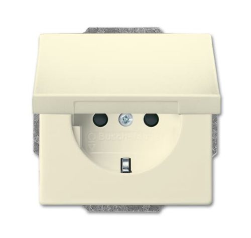 Picture of Pistikupesa 1-ne, maand-ga. kaanega, beež, süv. IP20, Busch-dynasty 