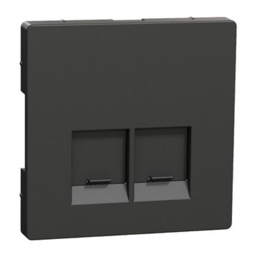 Picture of Keskplaat 2-sele RJ pesale, antratsiit, D-Life, MERTEN