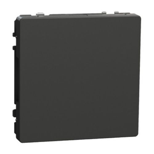 Picture of Pimekate, antratsiit, D-Life MERTEN 