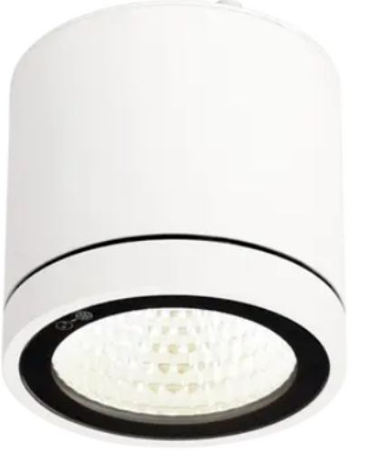 Picture of Allvalgusti Pinnap. Furia 11W/830 720lm 35D Triac IP65 IK06 100x98mm Valge Ansell 