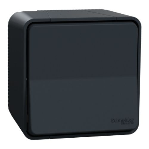 Изображение Veksellüliti 10A 250V, grafiit, pinnap. IP55, Mureva 