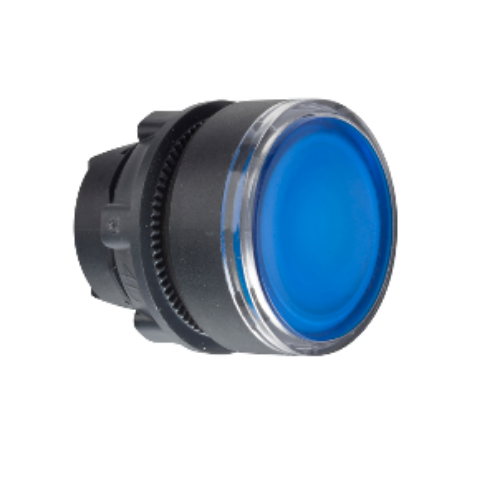 Изображение Surunupp illumineeritud SININE, LED-ile, madal, plast, IP66, Schneider 