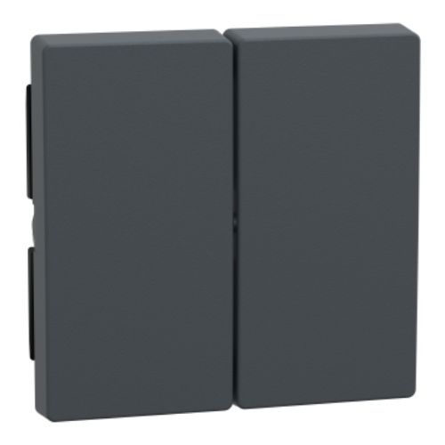 Picture of Klahv 2-ne, antratsiit, System-M, MERTEN 