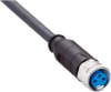 Picture of Andurikaabel PUR + pesa otse, A-coded, ( 5m + M8 3-pin ), SICK 
