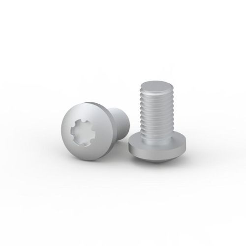 Picture of Kruvid M6x12mm, 250tk/pk, nVent Hoffman 
