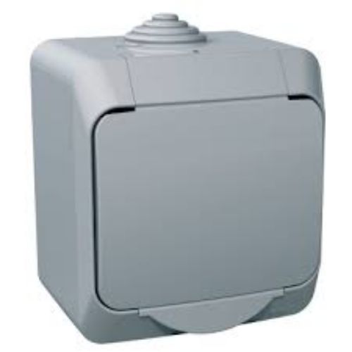 Picture of Pistikupesa 1-ne, Cedar+, pinnap., IP44, hall 